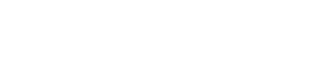Wix Guru