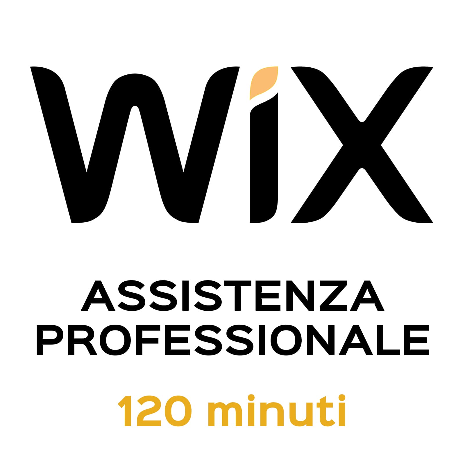 Assistenza Professionale WiX 120 Minuti
