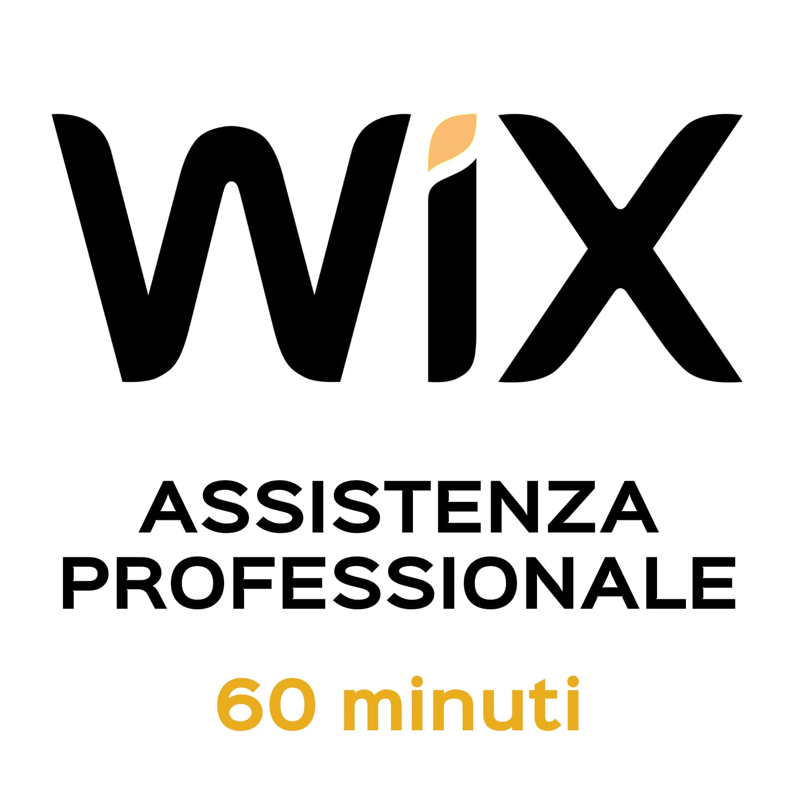 Assistenza Professionale WiX 60 Minuti
